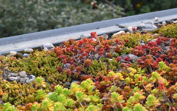 the cost of Pont Tyweli green roof installation